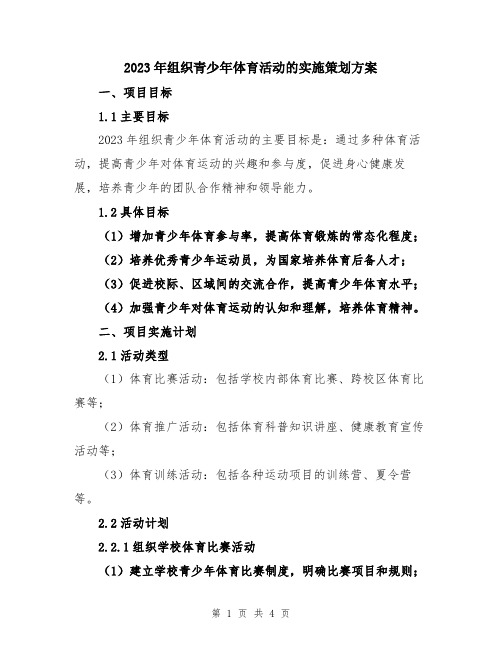 2023年组织青少年体育活动的实施策划方案