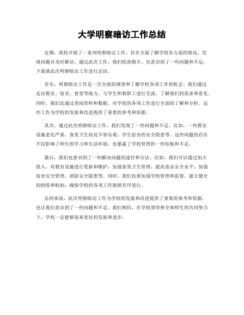 大学明察暗访工作总结