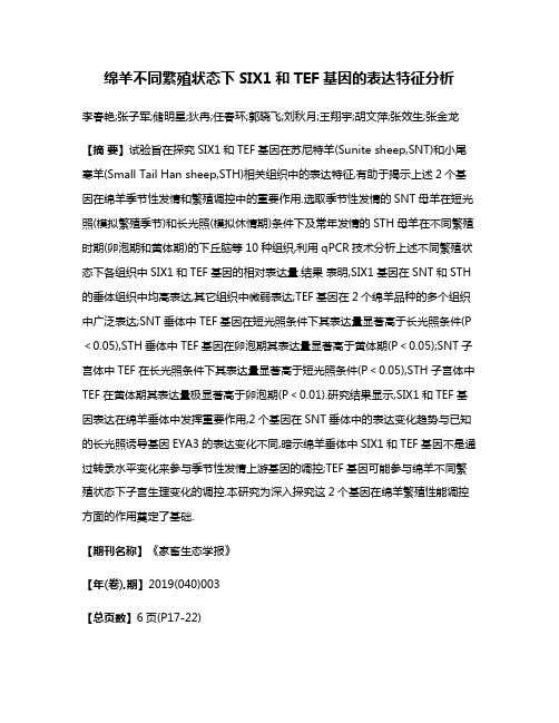 绵羊不同繁殖状态下SIX1和TEF基因的表达特征分析