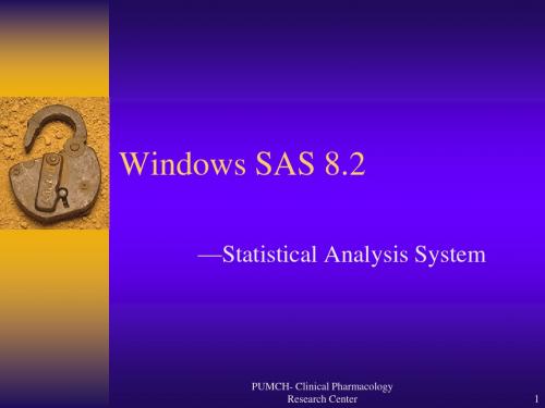 Windows SAS 8.2