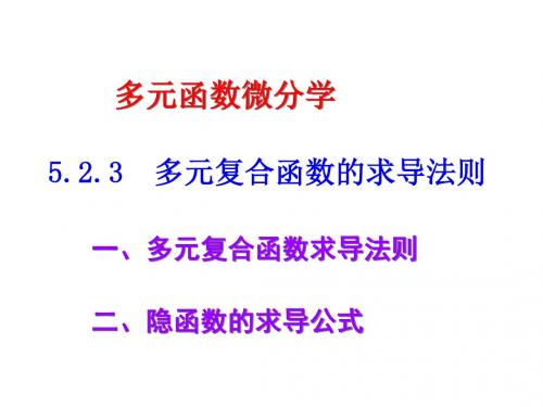 5多元复合函数及隐函数的微分法