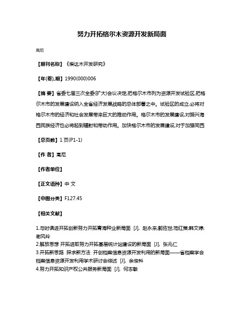 努力开拓格尔木资源开发新局面