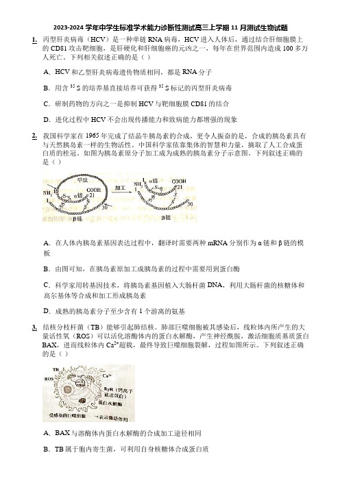 2023-2024学年中学生标准学术能力诊断性测试高三上学期11月测试生物试题