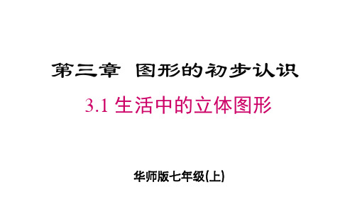 2024年华师大七年级数学上册 3.1 生活中的立体图形(课件)