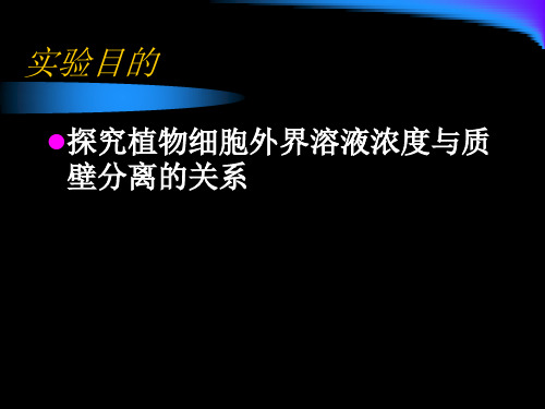 实验3.1探究植物细胞外界溶液浓度与质壁分离的关系