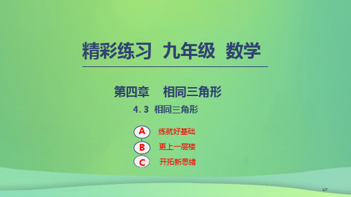 九年级数学上册相似三角形4.3相似三角形全国公开课一等奖百校联赛微课赛课特等奖PPT课件