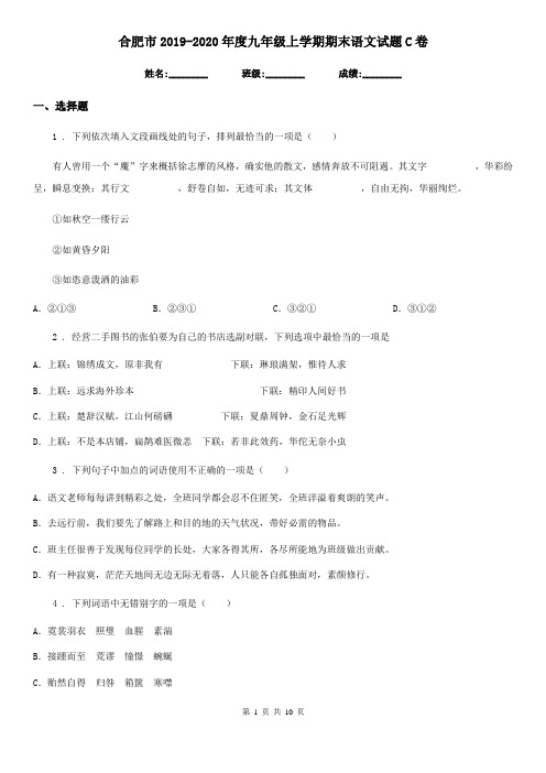 合肥市2019-2020年度九年级上学期期末语文试题C卷