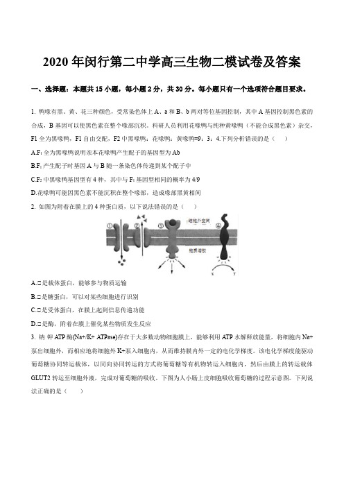 2020年闵行第二中学高三生物二模试卷及答案