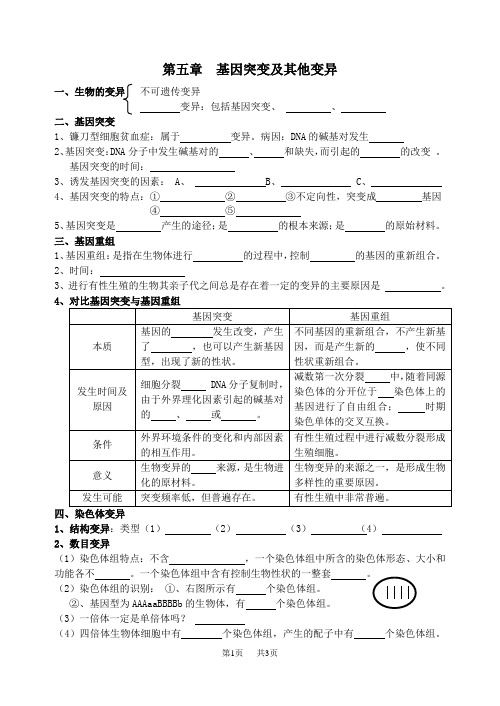 高中生物第五章基因突变及其他变异