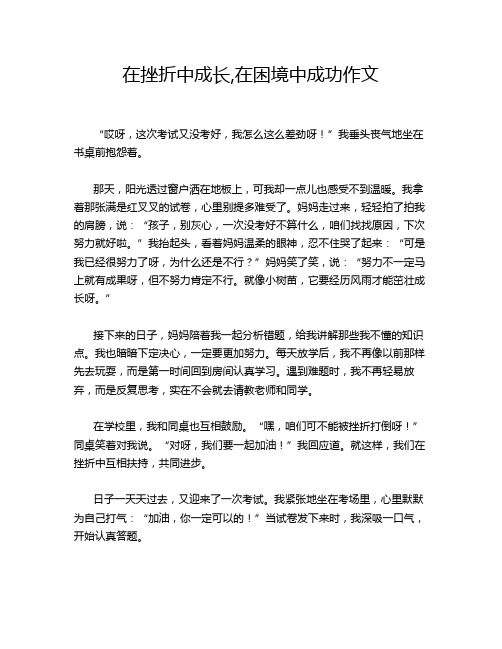 在挫折中成长,在困境中成功作文