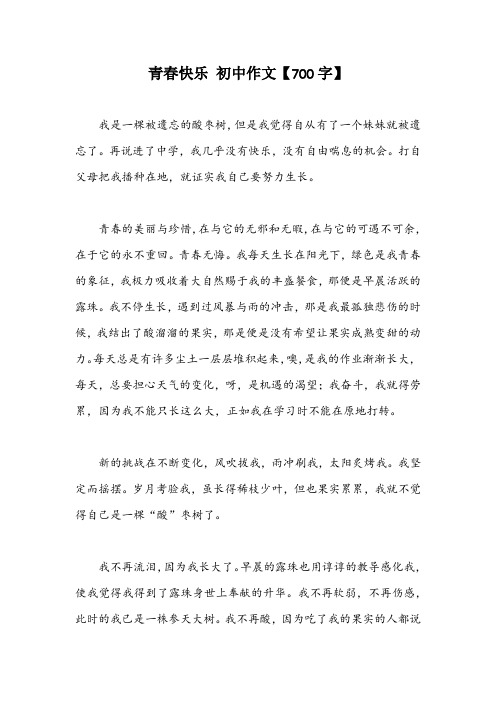 青春快乐 初中作文【700字】