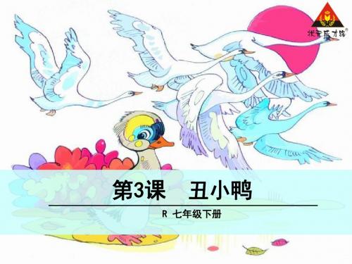 3. 丑小鸭