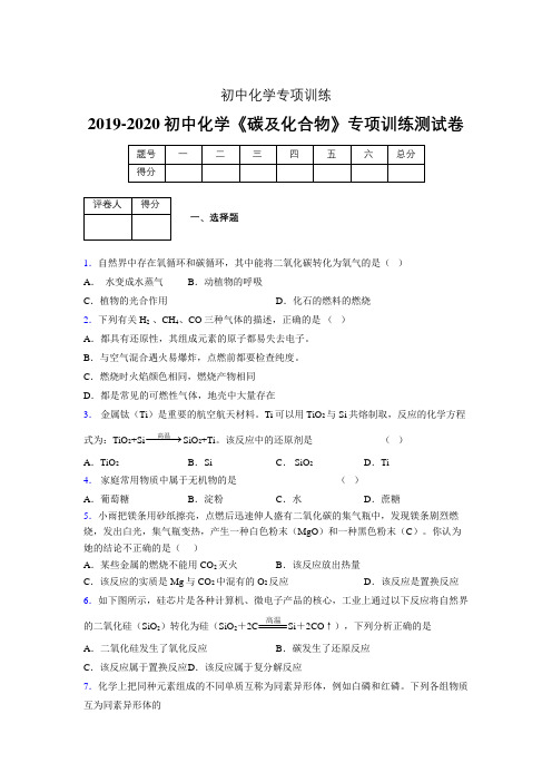 (中考)《碳及化合物》专项训练模拟测试(含答案)  (20)