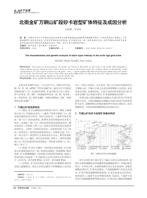 北衙金矿万硐山矿段矽卡岩型矿体特征及成因分析