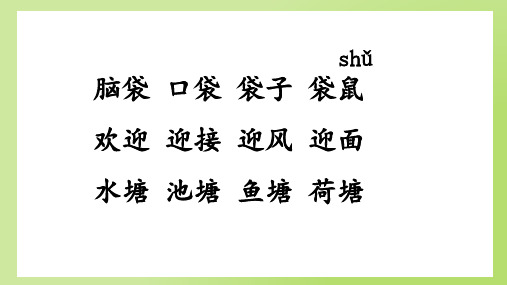 最新统编版语文二年级上册《小蝌蚪找妈妈(第二课时)》精品教学课件