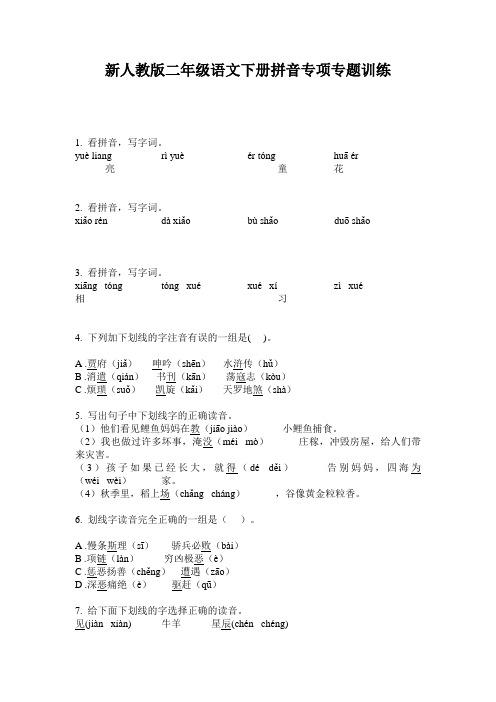 新人教版二年级语文下册拼音专项专题训练