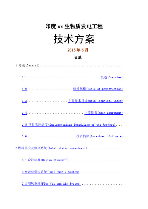 印生物质发电项目技术方案 中英文