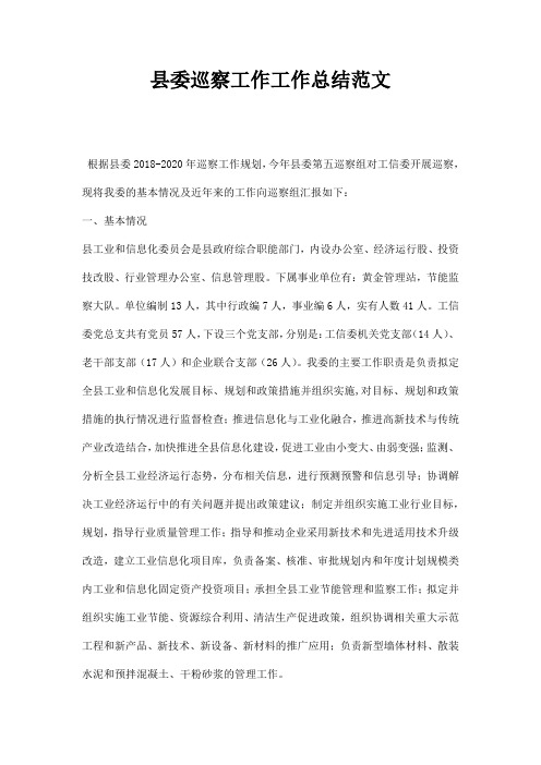 县委巡察工作工作总结范文