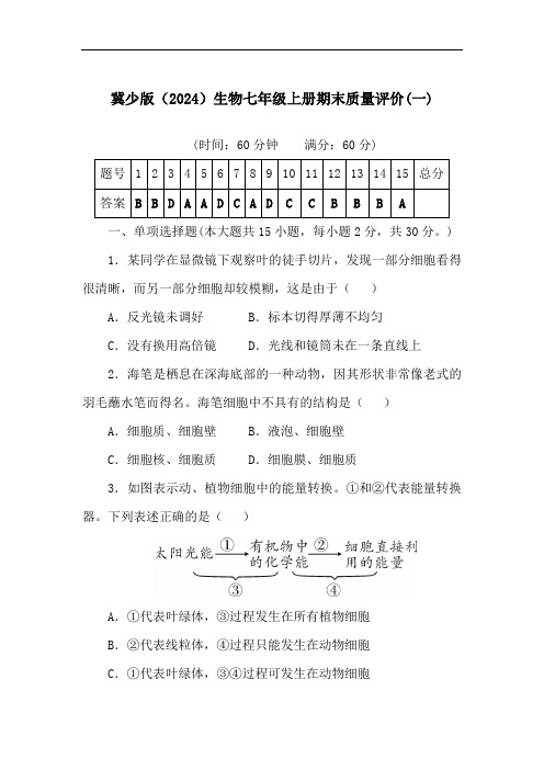 期末质量评价(一)(含答案)冀少版(2024)生物七年级上册