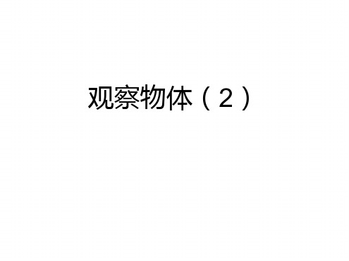 人教新课标二年级数学上册观察物体2课件