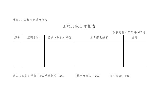 工程形象进度报表