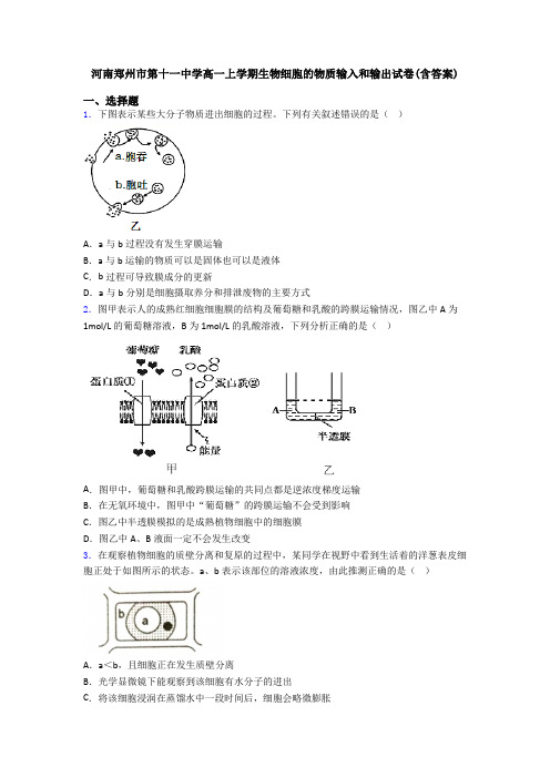 河南郑州市第十一中学高一上学期生物细胞的物质输入和输出试卷(含答案)