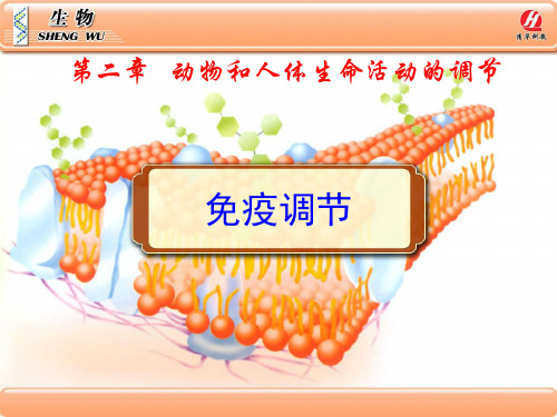 生物学③必修2.4《免疫调节》PPT课件