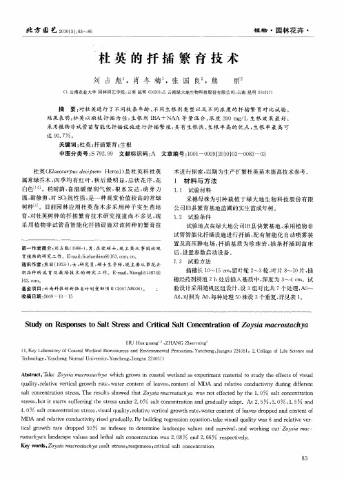 杜英的扦插繁育技术