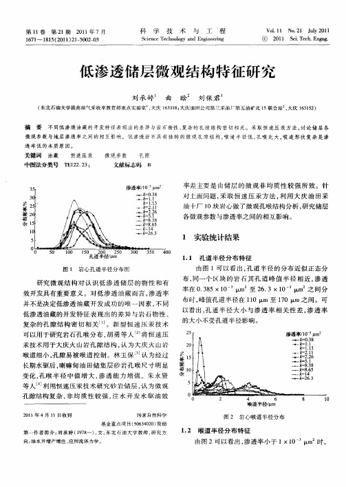 低渗透储层微观结构特征研究