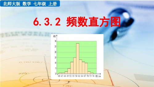 北师大版七年级上册数学6.3.2 频数直方图PPT课件