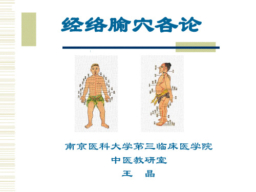 《经络腧穴各论》PPT课件