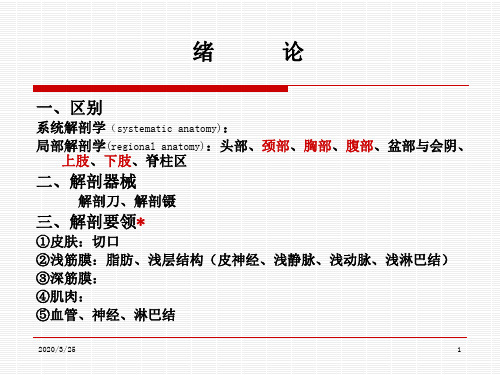 局部解剖学-下肢课件ppt