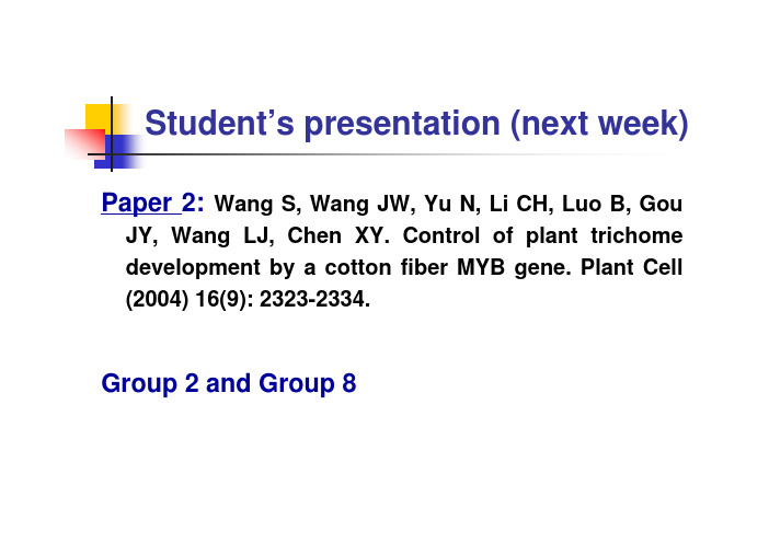 DNA replication