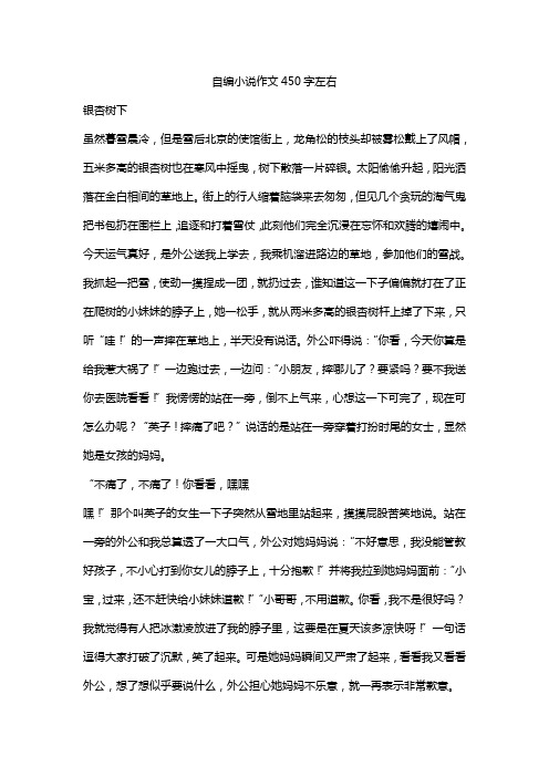 自编小说作文450字左右