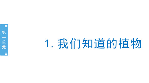 教科版 一年级上册 我们知道的植物