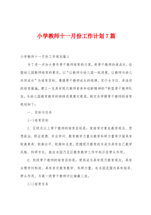 小学教师十一月份工作计划7篇