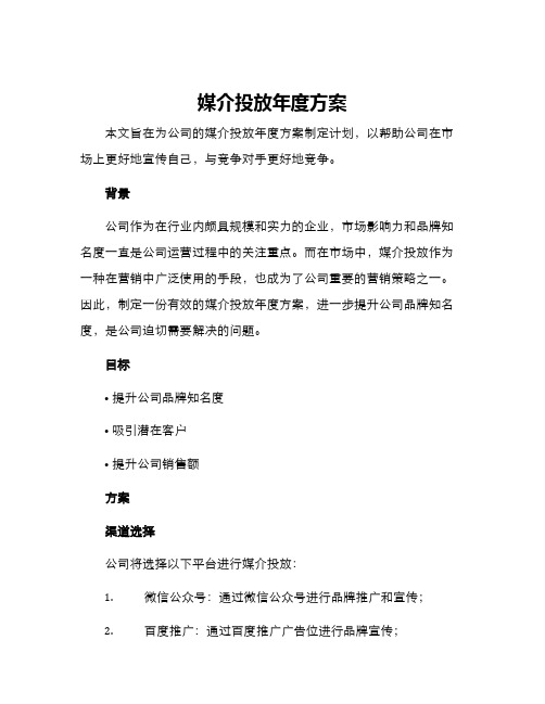 媒介投放年度方案