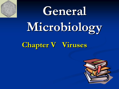【微生物学】Chapter 5 The Viruses NEW