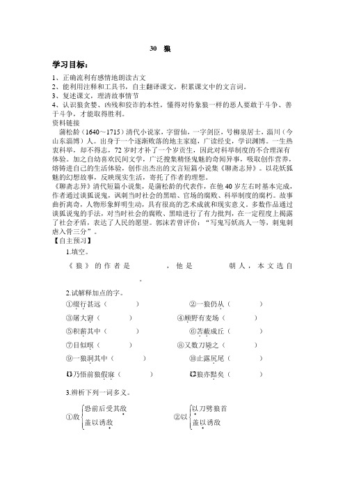 30 狼学案学案2