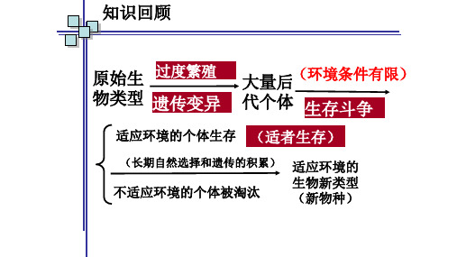 人教版必修2生物：7.2 现代生物进化理论的主要内容 课件(共16张PPT)