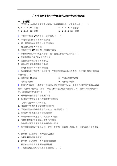 广东省惠州市高中一年级上学期期末考试生物试题