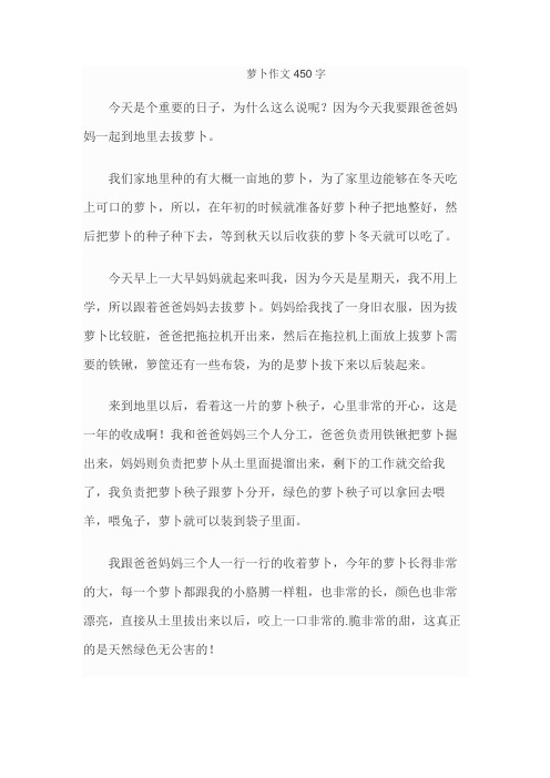 萝卜作文450字