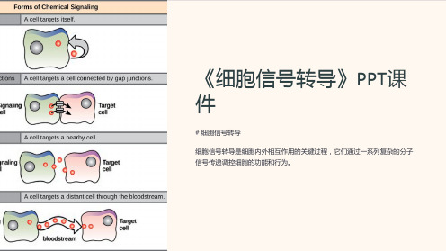 《细胞信号转导》课件