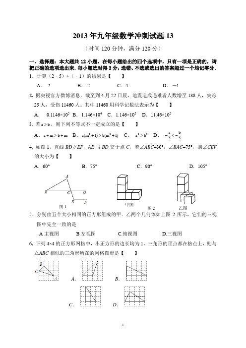 2013年九年级数学冲刺试题13