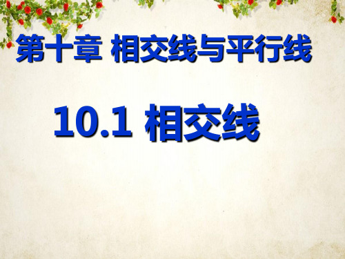 七年级数学下册课件-10.1 相交线2-沪科版