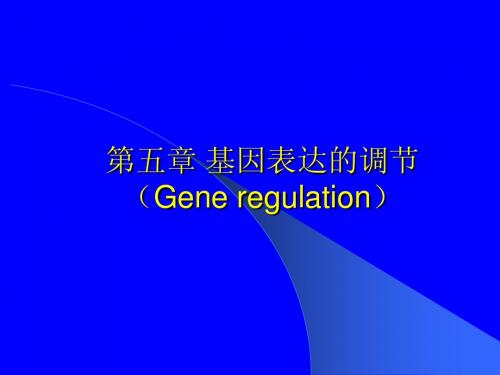 第五章 基因表达的调节1(regulation