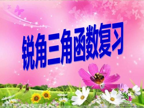 《锐角三角函数复习》课件