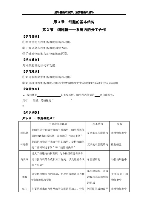 细胞器-系统内的分工合作