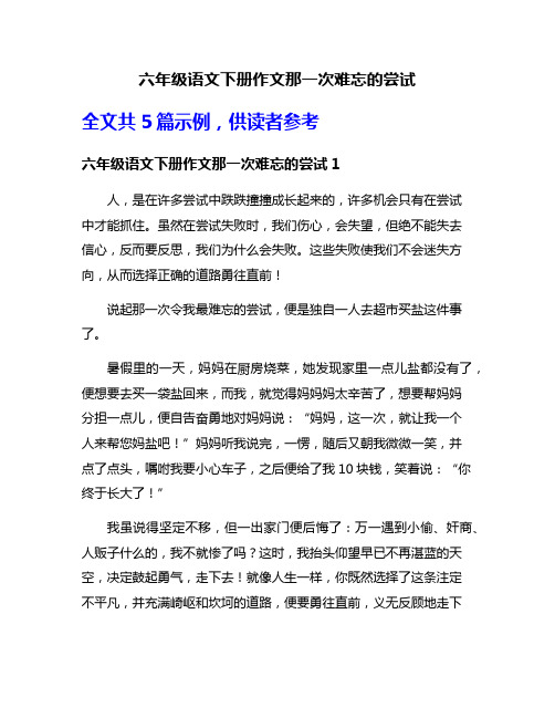 六年级语文下册作文那一次难忘的尝试