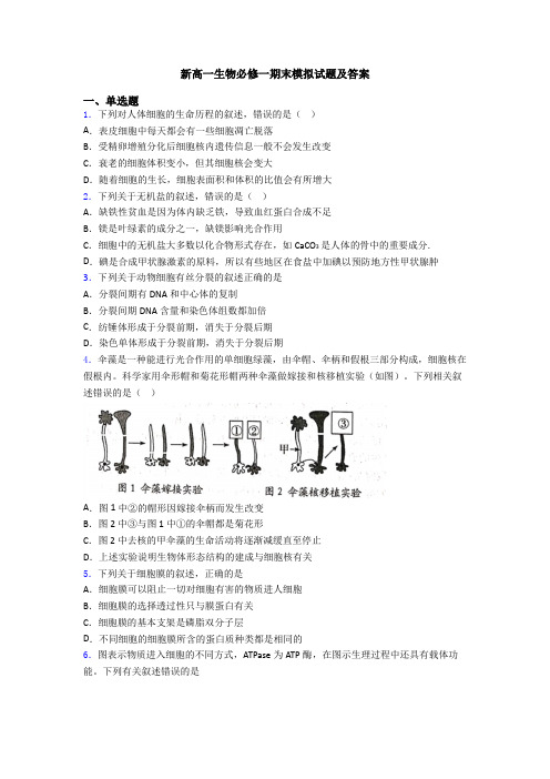 新高一生物必修一期末模拟试题及答案